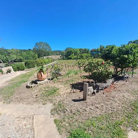 La Rouillere 2 - Authenticite Maison 4 Pers En Bord De Ruisseau Au Coeur Des Vignes *